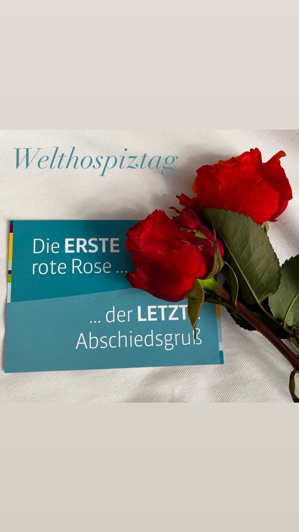 BD7A9AD0 16F5 4840 BCC2 A9FF9946CD7B 002